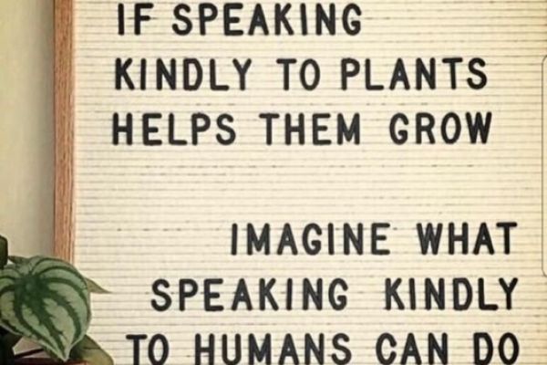 if-speaking-kindly-to-plants98664F7D-56EC-DEA7-CAF6-CB088959519B.jpg