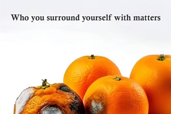 who-you-surround-yourself-with-matters373095AA-030F-6C2E-B5F4-9782E8BF1BDC.jpg